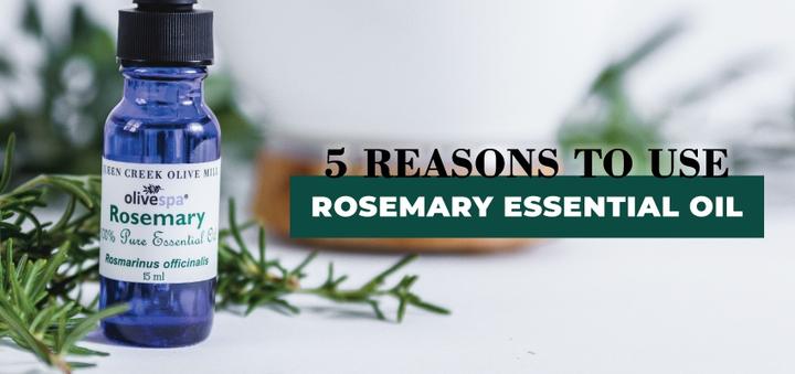 5 REASONS TO USE ROSEMARY ESSENTIAL OIL