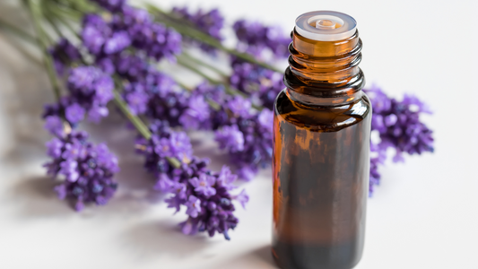 What is Lavender Oil Good For?